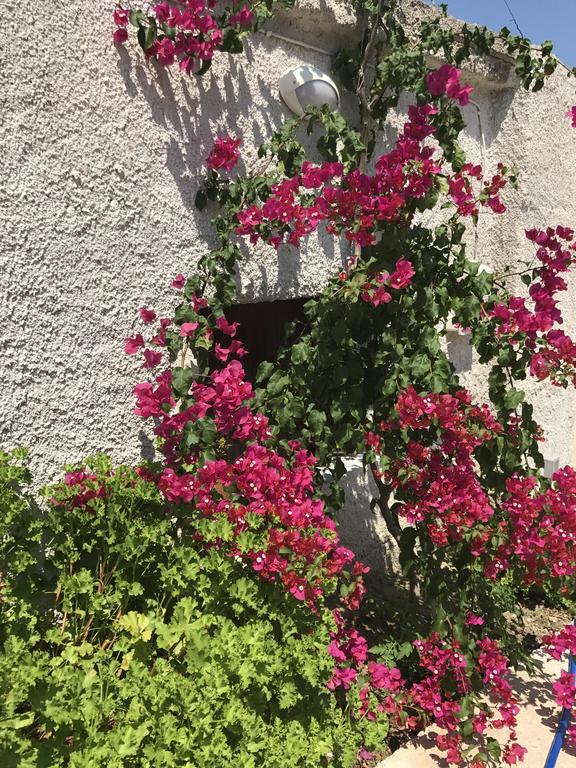 Cyan Icons Villas Kalyves Chania Eksteriør bilde